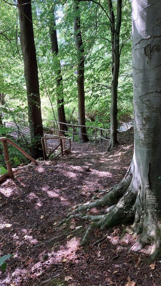 Stilvolle Ferienwohnung Im Eichsfeld Niederorschel Exterior foto